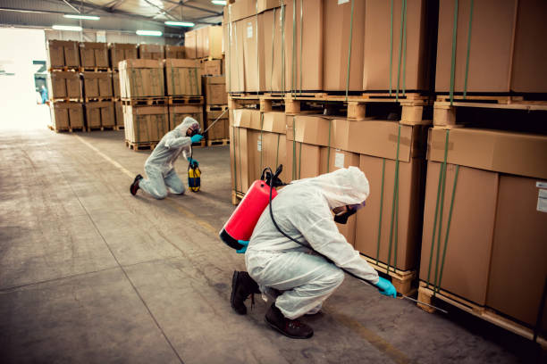 Best Rat Extermination Near Me  in West Lealman, FL