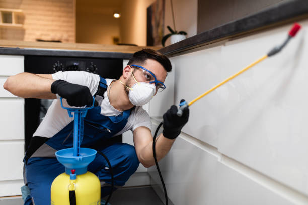 Best Pest Removal Services  in West Lealman, FL