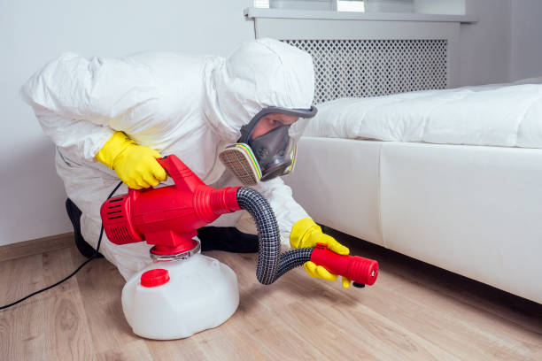 Flea Control Services in West Lealman, FL