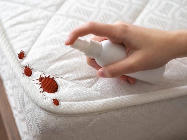 Best Cockroach Control Services  in West Lealman, FL