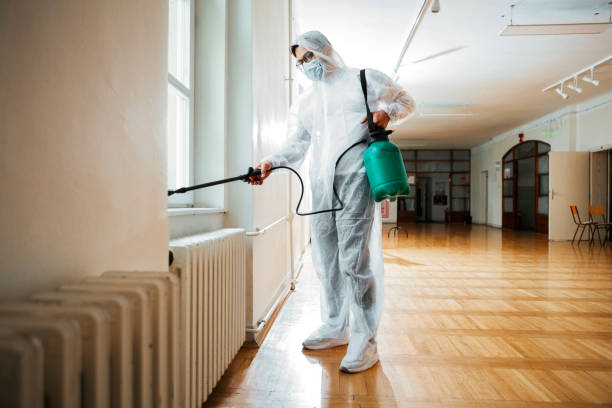 Best Pest Control Near Me  in West Lealman, FL